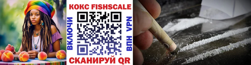 Cocaine Fish Scale  kraken вход  Касли 