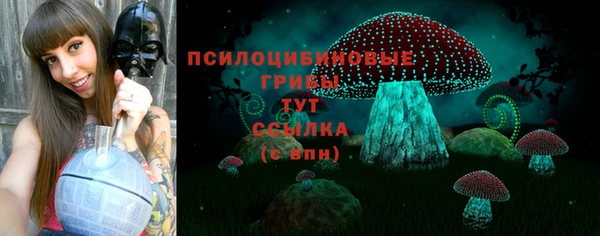 прущие крисы Каменск-Шахтинский