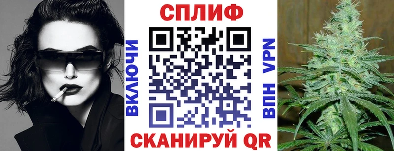 Каннабис сатива  Касли 